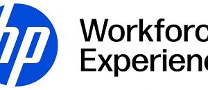 Workforce Experience